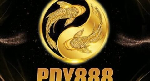 pdy888